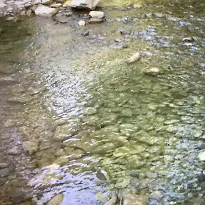 Júbrique Jubrique